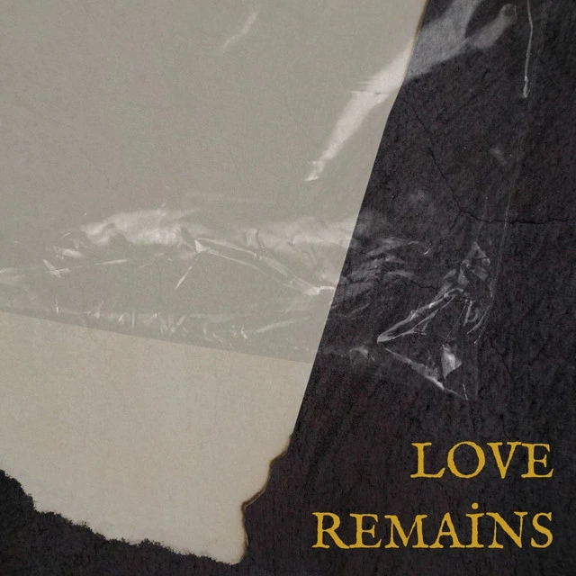 VaseBit Artists Label profile image